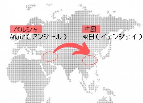 いちじくは漢字で書くと無花果 九の一文字でもイチジク 由来を紹介 ある日のベリーファーム