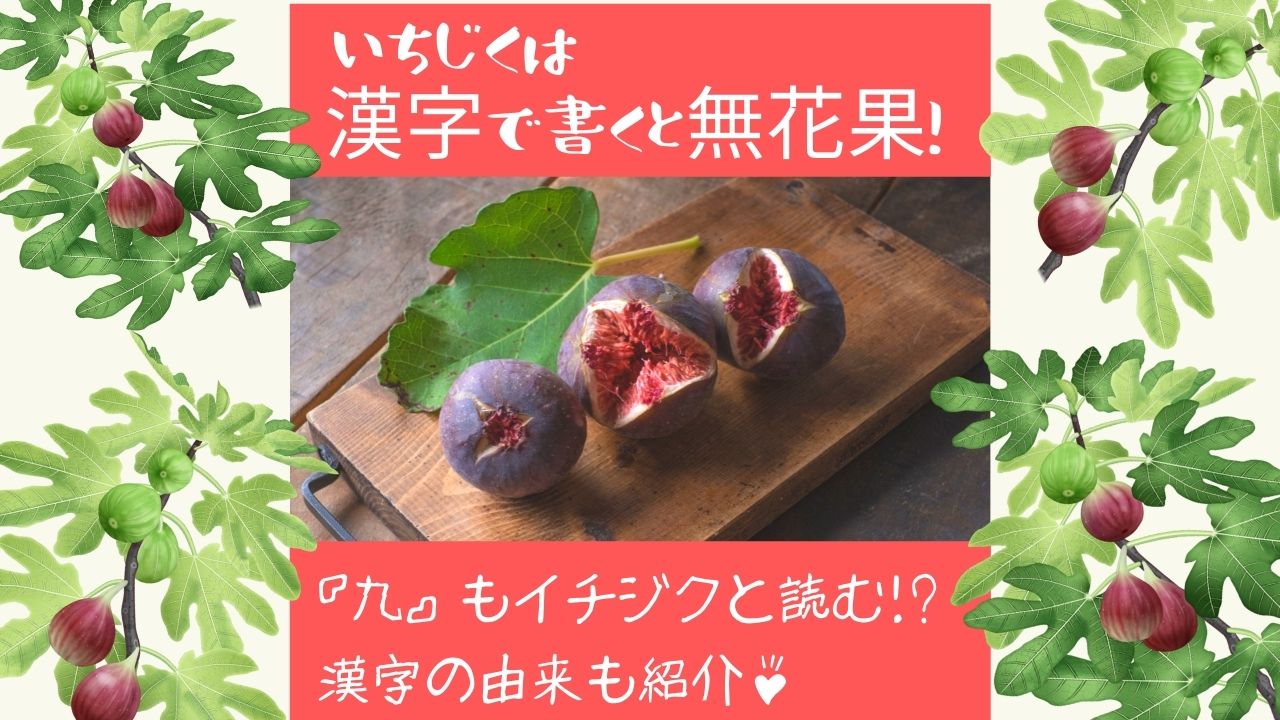 いちじくは漢字で書くと無花果 九の一文字でもイチジク 由来を紹介 ある日のベリーファーム