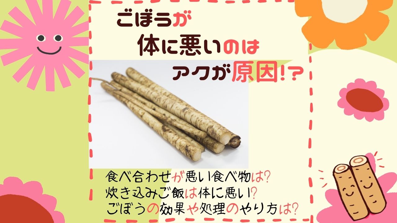 ごぼうが体に悪いのはアクが原因 食べ合わせが悪い食べ物や炊き込みご飯が体に悪いのかも紹介 処理の方法や効果も ある日のベリーファーム