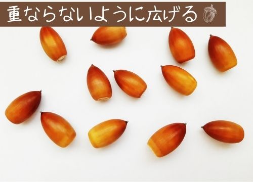 どんぐりの煮沸の方法や煮沸時間を紹介 ビニール袋で冷凍する方法も ある日のベリーファーム