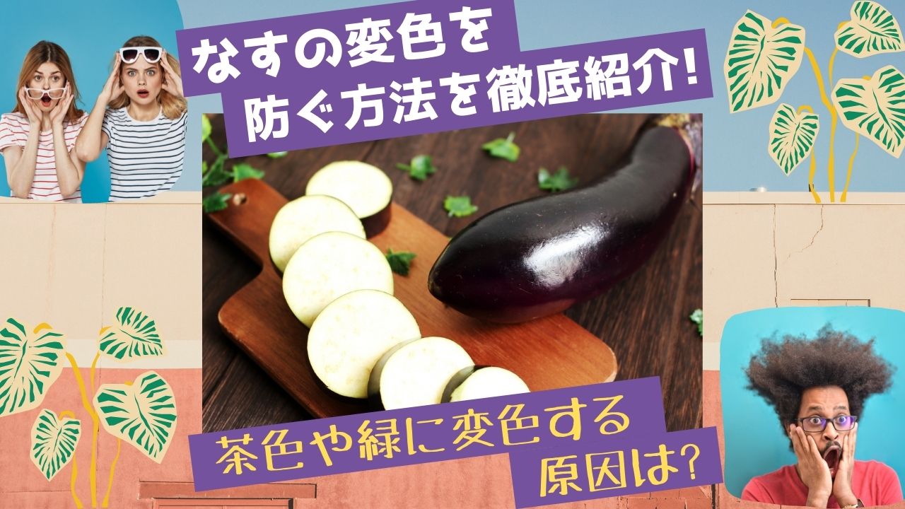 なすの変色を防ぐ方法を徹底紹介 茶色や緑に変色する原因はこれ ある日のベリーファーム