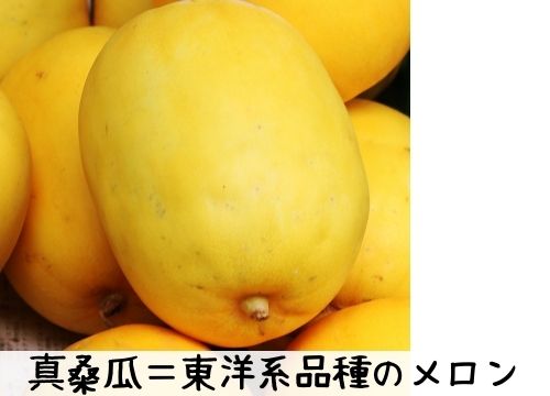 メロンは漢字の表記で甜瓜 由来や他の果物の漢字一覧も紹介 ある日のベリーファーム