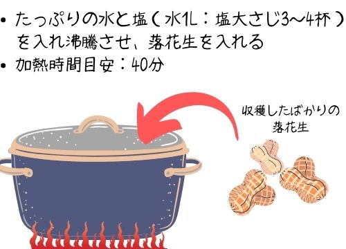 落花生収穫の後に洗うのはok 収穫後すぐ食べる方法や長期保存のための処理のやり方も紹介 ある日のベリーファーム