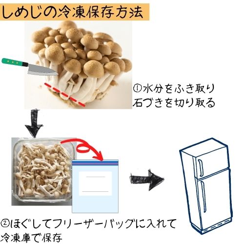 しめじのカビのような白いふわふわしたものは食べれる 緑や黒のつぶつぶは食べても大丈夫 カビとの見分け方も紹介 ある日のベリーファーム