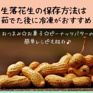 ある日のベリーファーム