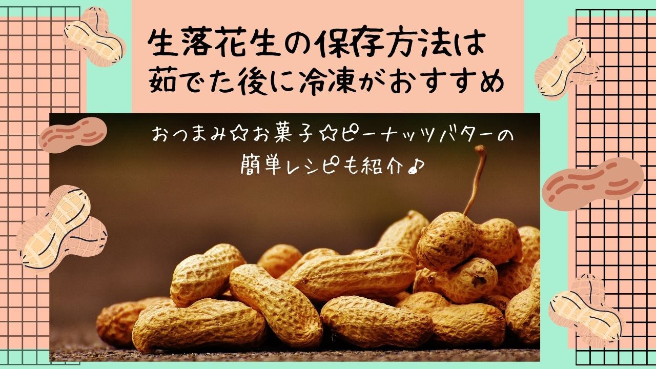 生落花生の保存方法は