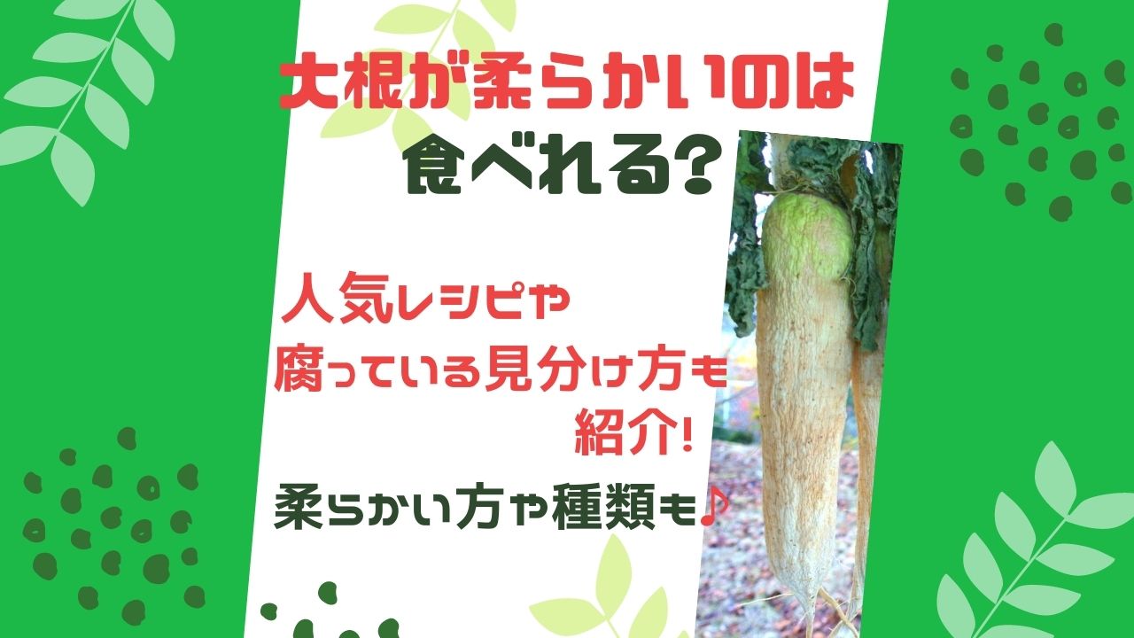 大根が柔らかいのは食べれる おいしく食べられる人気レシピや腐っている場合の見分け方を紹介 柔らかい方や種類も ある日のベリーファーム
