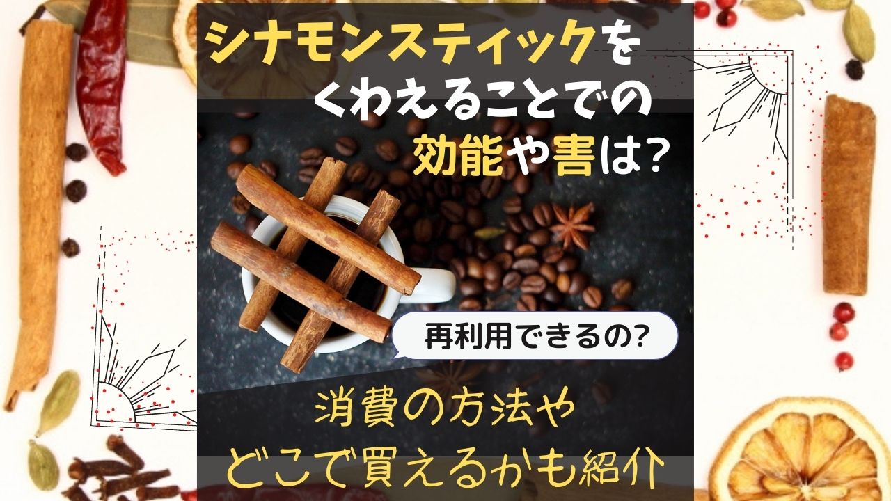 シナモンスティックを