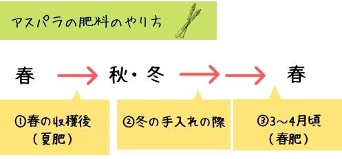 アスパラの収穫後の手入れの仕方を紹介 肥料のやり方は 収穫はいつまでで終わり 1株の収穫量はどれくらいかも解説 ある日のベリーファーム アスパラの収穫後の手入れの仕方を紹介 肥料のやり方は 収穫はいつまでで終わり 1株の収穫量はどれくらいかも解説 ある日のベリーファーム