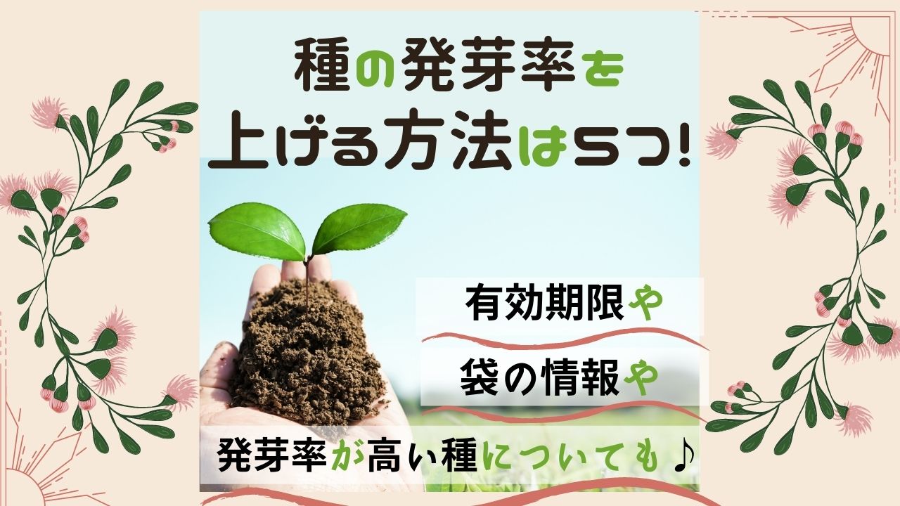 種の発芽率を上げる方法は5つ 有効期限や袋の情報や発芽率が高い種についても紹介 ある日のベリーファーム