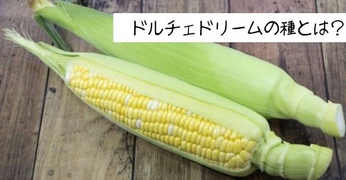 とうもろこしの6月に種まきできる品種を紹介 7月や8月に種まきできる品種や草丈の低い品種やドルチェドリームについても ある日のベリーファーム
