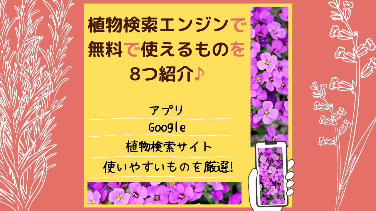 植物検索エンジン無料アイキャッチ