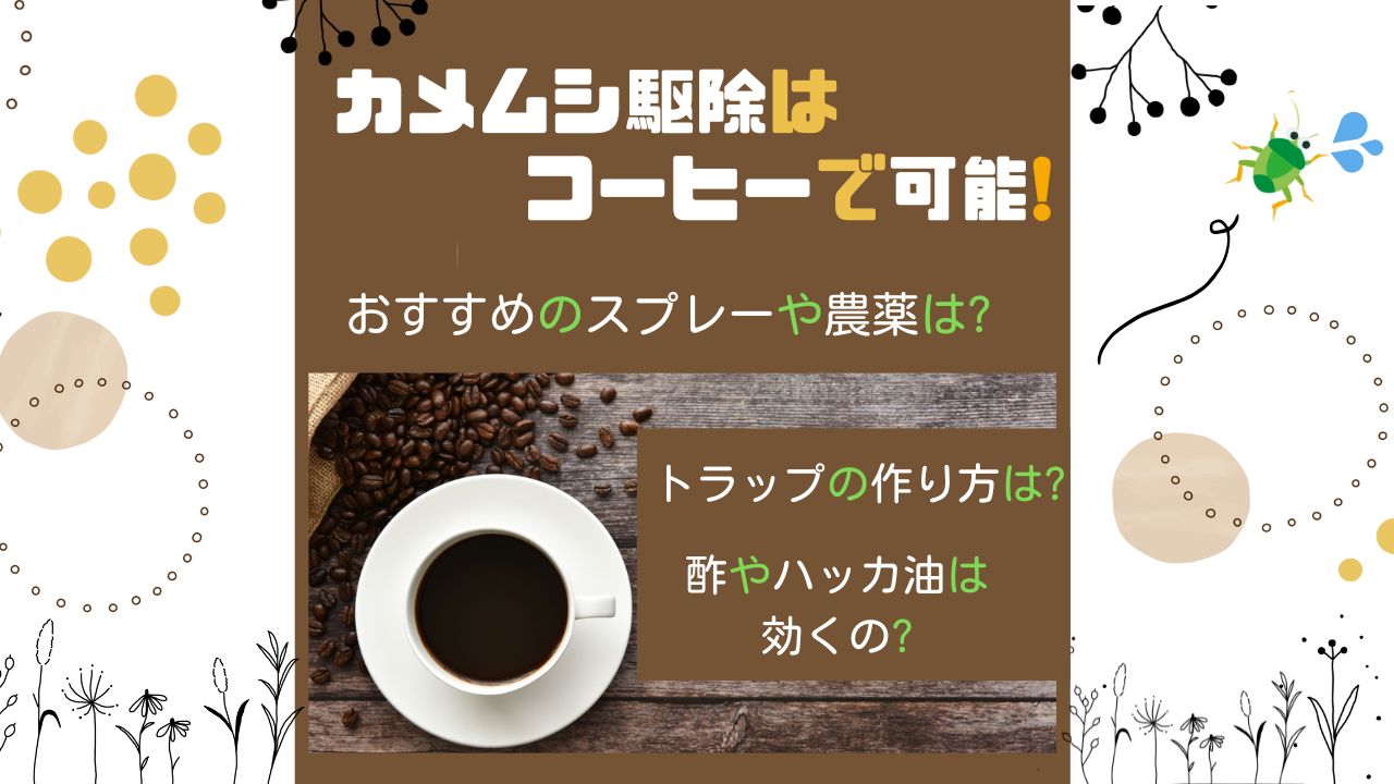 カメムシ駆除はコーヒーで可能 おすすめのスプレーや農薬を紹介 侵入してきた際のトラップの作り方も ある日のベリーファーム